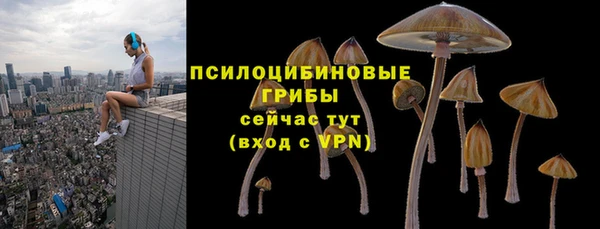 дживик Баксан