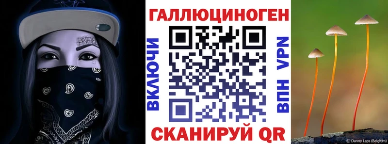 Купить закладки  Ядрин  Галлюциногенные грибы мухоморы 
